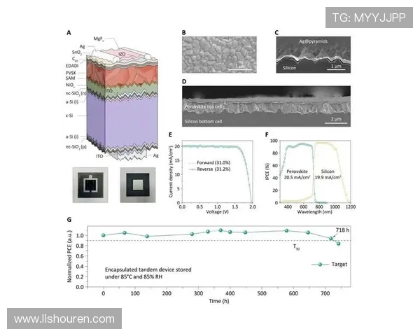 南京极限运动队的防反策略解析与热点趋势探讨