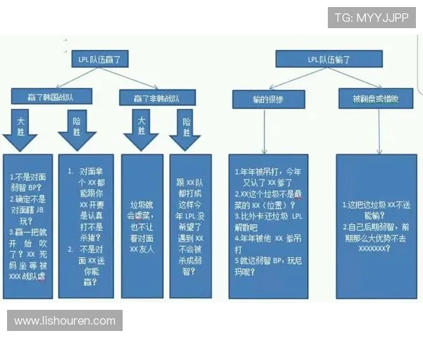 聚焦英雄联盟战术解析：WE战队的战略布局与团队协作探讨