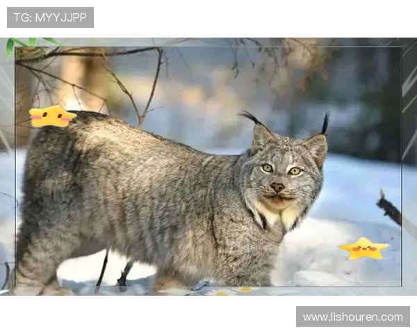 奥伦堡与安郅激战正酣谁能在这场对决中笑到最后